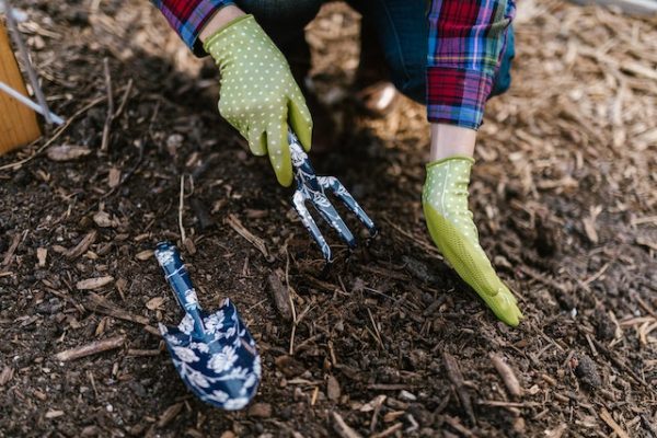 Tuincentra en Tuincentrum Pelckmans: Alles Voor De Tuinliefhebber